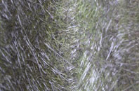 Primethorpe fibreglass roof work